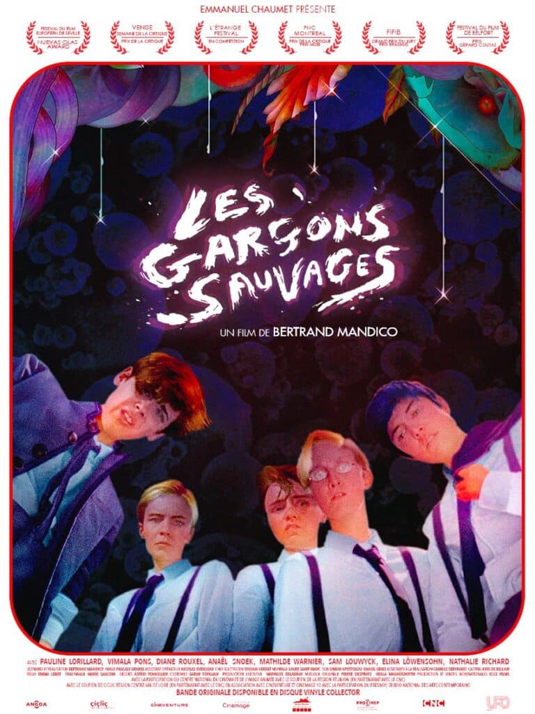 affiche du film les garcons sauvages