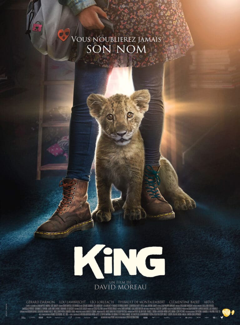 affiche du film king