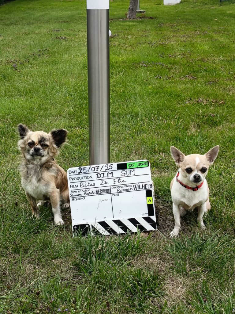 tournage-betesfilc-clap