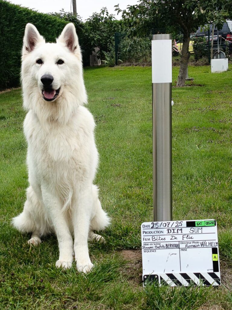 tournage-betesflic-chien-blanc