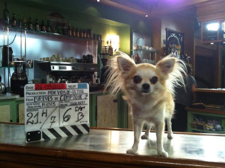 tournage-brevescomptoir-clap