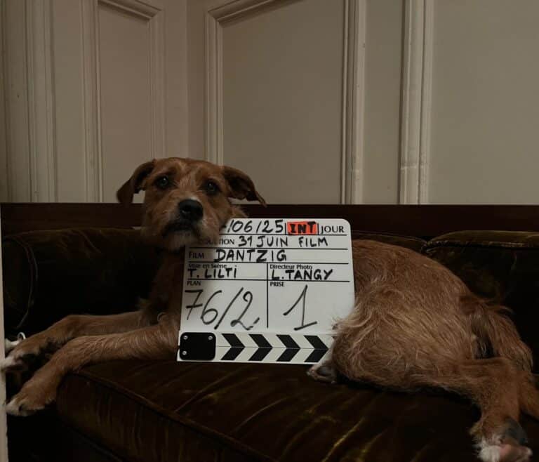 tournage-dantzig-clap