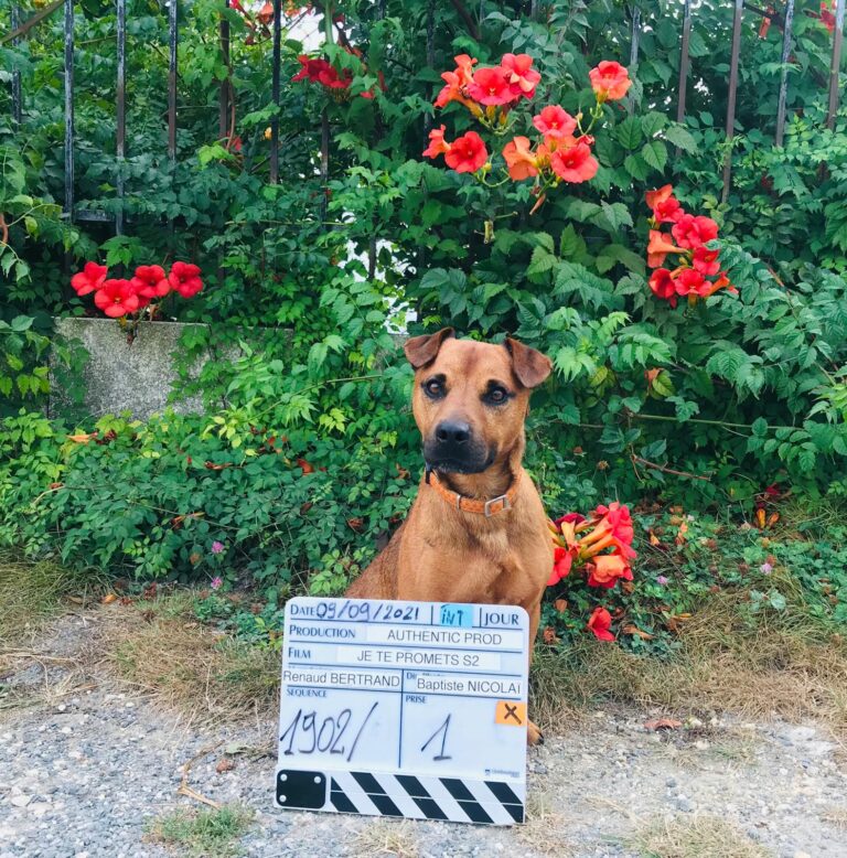 tournage-jetepromets-clap