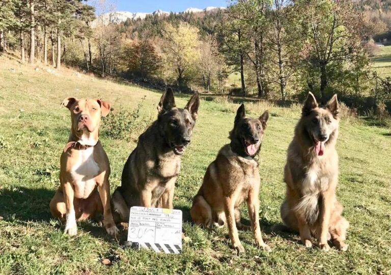 tournage-lepontdesoublies-clap