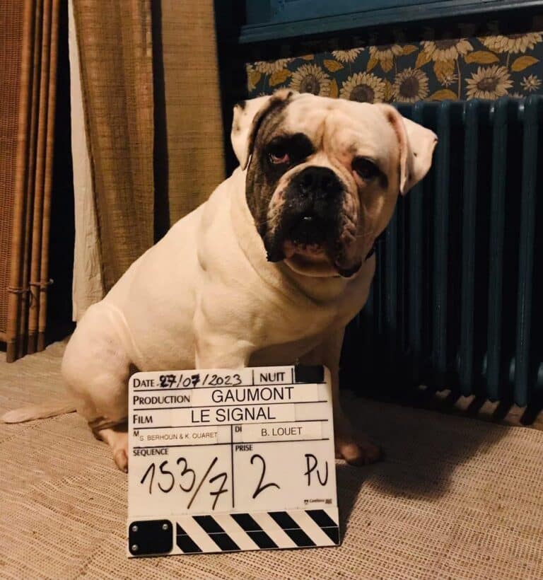 tournage-lesignal-clap