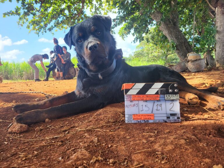 tournage-nichainesnimaitres-clap