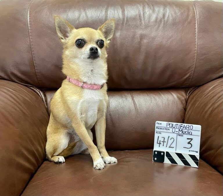 tournage-poutifard-clap