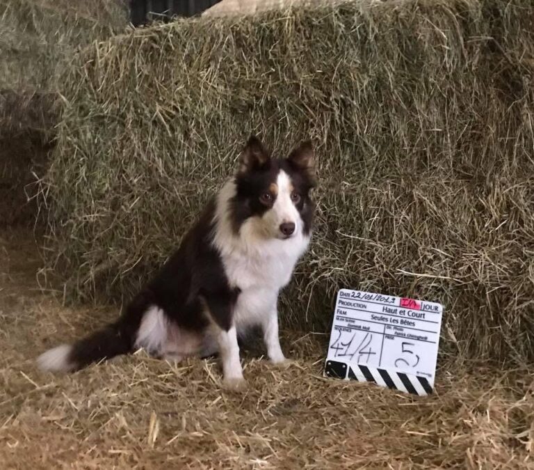 tournage-seuleslesbetes-clap