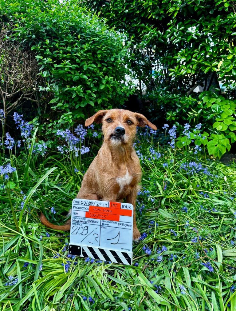 tournage-surface-clap