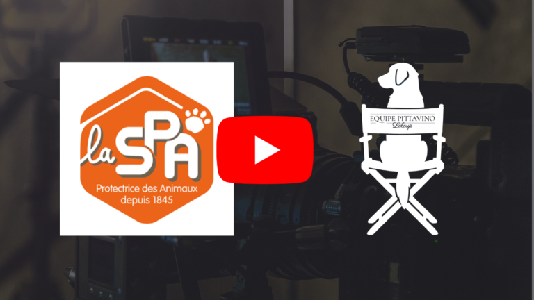 Accéder à la publicité de la SPA