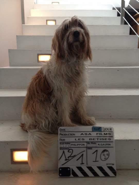 WhatsApp Image 2025-07-30 at 11.42.25 (3)