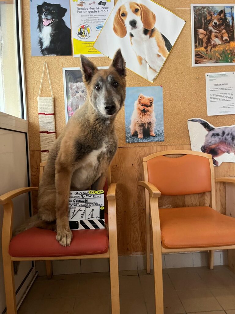 WhatsApp Image 2025-07-30 at 11.42.26 (4)