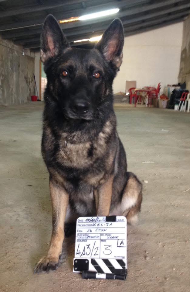 tournage-advitam-clap