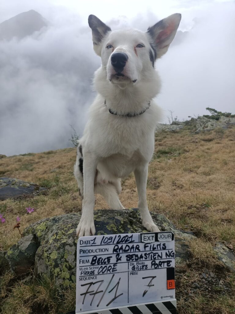 tournage-bellesebastien-clap