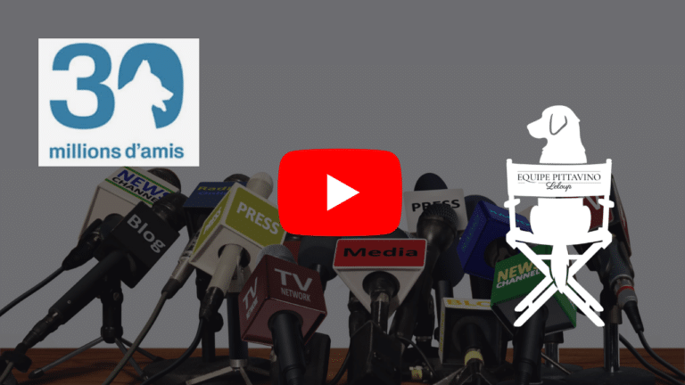 Cliquer pour regarder le reportage de 30 millions d'amis