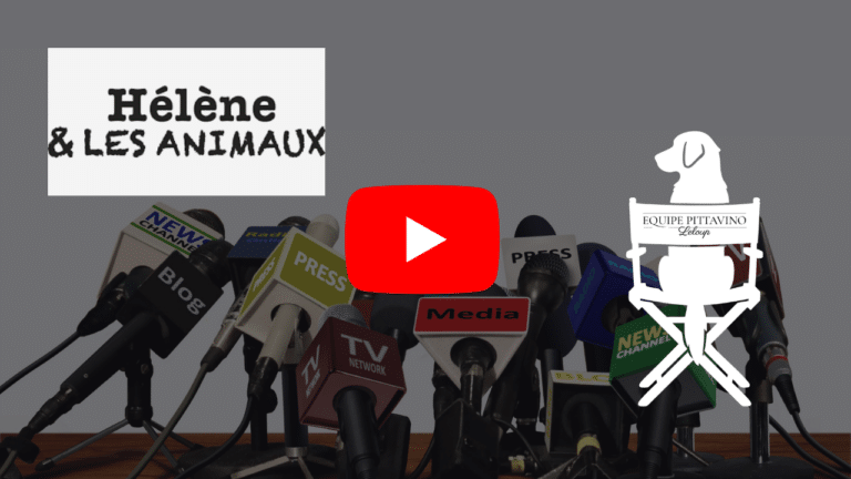 Cliquer pour voir le reportage de l'émission Hélène et les animaux