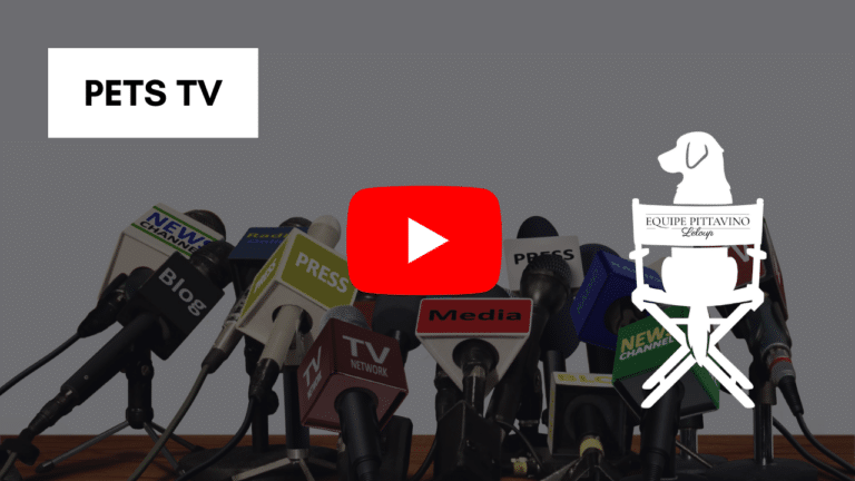 Cliquer pour voir le reportage sur Pets TV